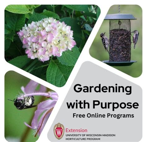 Gardening With Purpose Free Online Programs Extension Manitowoc County Gardening With Purpose Free Online Programs Extension Manitowoc County