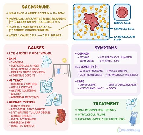 Hypertonic Dehydration What Is It Causes Treatment And More Osmosis Hypertonic Dehydration What Is It Causes Treatment And More Osmosis
