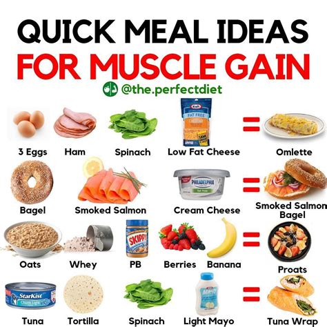 Quick Meal To Gain Muscle Fast Muscle Tips Food To Gain Muscle Quick Meal To Gain Muscle Fast Muscle Tips Food To Gain Muscle