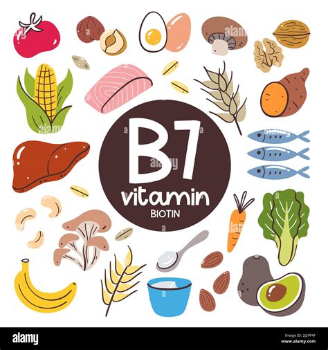Vitamin B7 Fruits And Vegetables Hi Res Stock Photography And Images Vitamin B7 Fruits And Vegetables Hi Res Stock Photography And Images