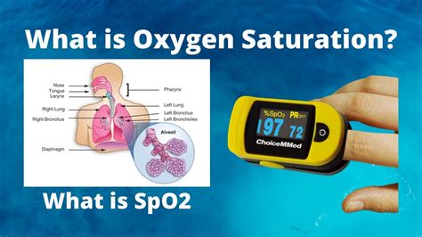 What Is Spo2 Measurement And Why Is It Important What Is Spo2 Measurement And Why Is It Important