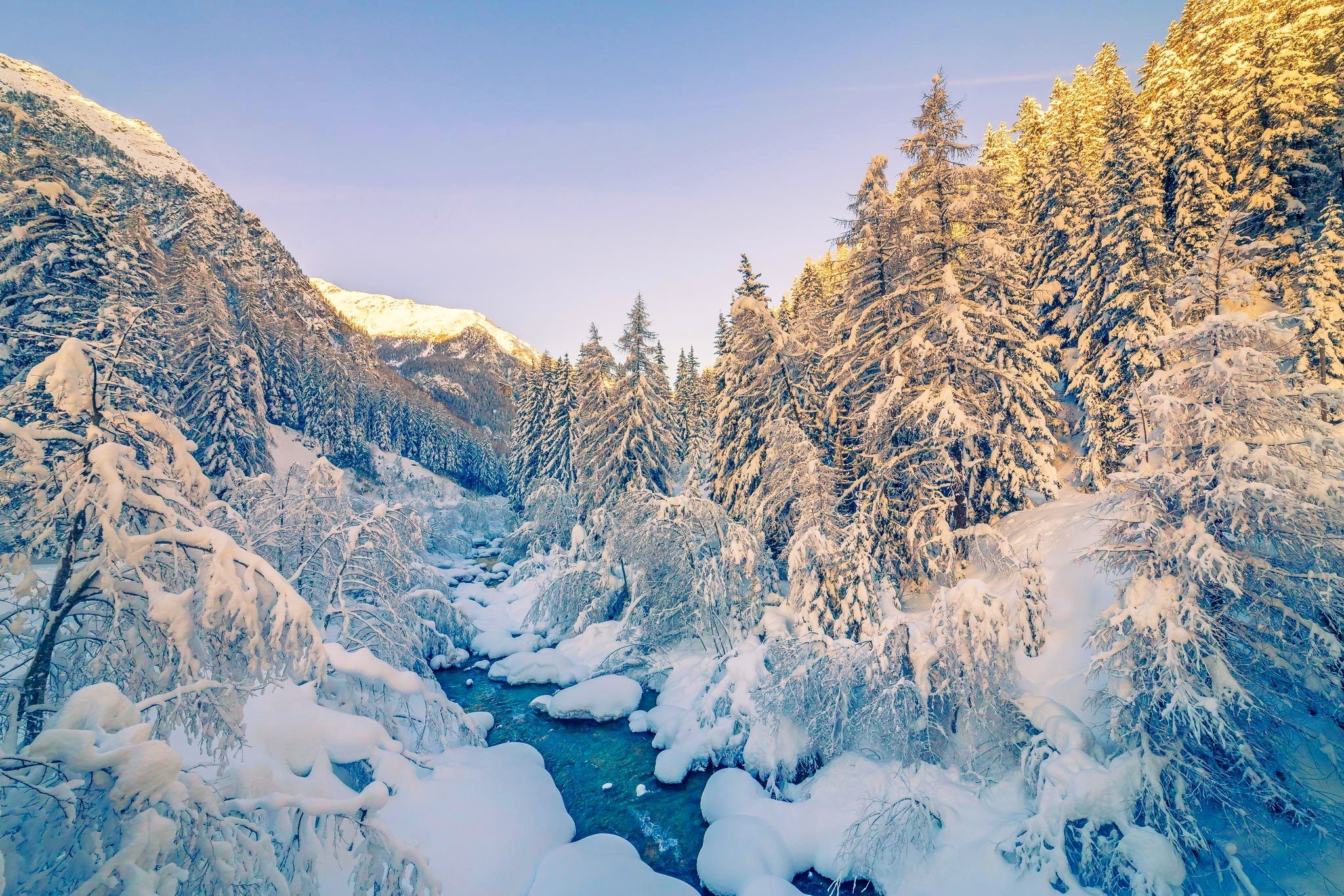 Winter Sad Winter Sad